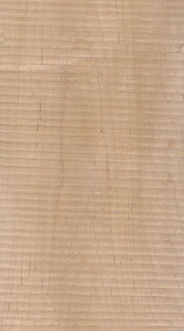 樺木的芯材顏色是淡紅棕色，邊材顏色近白色，板麵寬且帶影的木皮市場價格良好，紋理通常是直紋和波浪紋，質地均勻，板麵有很好的自然光澤度。.webp.jpg