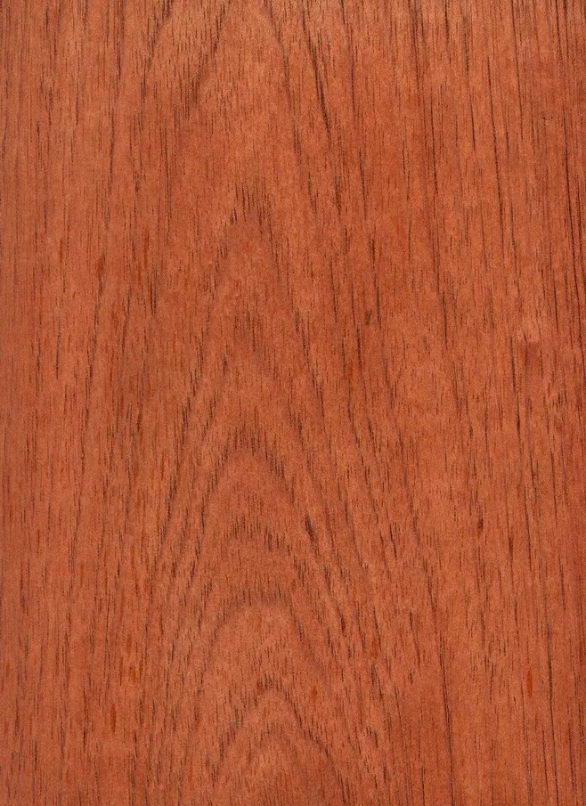 西班牙香杉的芯材為均勻的淺粉色到紅棕色，顏色一般會隨著樹木的增長而加深，通常，木材都自帶樹脂和有油脂，木材板麵看起來比較普通。紋理通常直，有局部交錯，材質均勻，天然光澤度一般。.webp.jpg